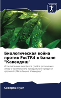 &#1041;&#1080;&#1086;&#1083;&#1086;&#1075;&#1080;&#1095;&#1077;&#1089;&#1082;&#1072;&#1103; &#1074;&#1086;&#1081;&#1085;&#1072; &#1087;&#1088;&#1086;&#1090;&#1080;&#1074; FocTR4 &#1074; &#1073;&#1072;&#1085;&#1072;&#1085;&#1077; "&#1050;&#1072;&#10