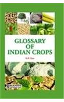 Glossary of Indian Crops