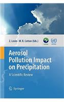 Aerosol Pollution Impact on Precipitation