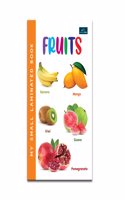 My Small Book of Fruits - Laminated Book For Kids | book | books | books for kids | children books | kids books | kids book | best books | book for kids