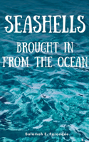Seashells Brought In From The Ocean