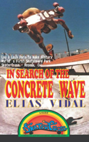 In Search of the Concrete Wave: Two-and-a-half Years of Hearings, Difficulties & Setbacks to finally Make our Dream a Reality!