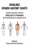 Spanlingo Spanish Anatomy Charts