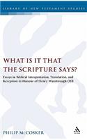 What Is It That the Scripture Says?: Essays in Biblical Interpretation, Translation, and Reception in Honour of Henry Wansbrough Osb