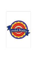 Houghton Mifflin Reading Leveled Readers: Level 6.5.3 ABV LV the Brooklyn Bridge: Level 6.5.3 ABV LV the Brooklyn Bridge