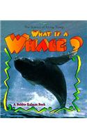 What Is a Whale?