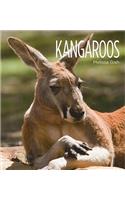 Living Wild: Kangaroos