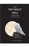 Great Owls