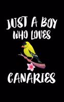 Just A Boy Who Loves Canaries: Animal Nature Collection