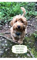 Weekly Diary April 2019-Dec 2020: 6x9 week to a page planner with notes & to do list each week. Extra notes pages included. Perfect for self-employed, business, shift workers & as ch