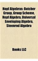 Hopf Algebras: Quantum Groups, Butcher Group, Group Scheme, Hopf Algebra, Steenrod Algebra, Quasisymmetric Function(English)