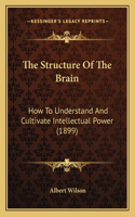 The Structure Of The Brain: How To Understand And Cultivate Intellectual Power (1899)
