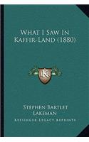 What I Saw In Kaffir-Land (1880)