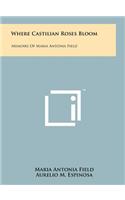 Where Castilian Roses Bloom