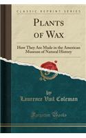 Plants of Wax: How They Are Made in the American Museum of Natural History (Classic Reprint)