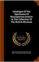 Catalogue Of The Specimens Of Neuropterous Insects In The Collection Of The British Museum