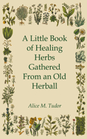 Little Book of Healing Herbs Gathered From an Old Herball