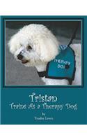 Tristan Trains as a Therapy Dog