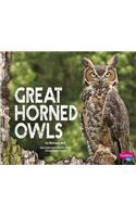 Great Horned Owls