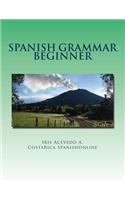 Spanish Grammar Beginner