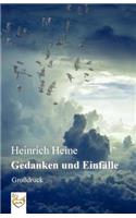 Gedanken und Einfälle (Großdruck)
