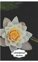 Lotus Flower at the Lake: Small Pocket Notebook