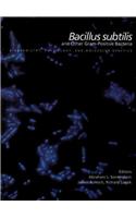 Bacillus Subtilis and Other Gram-Positive Bacteria: From Genes to Cells