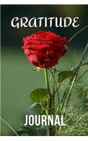 Gratitude Journal
