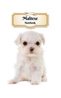 Maltese Notebook: Puppy - Composition Book 150 pages 8.5 x 11 in. - Wide Ruled - Writing Notebook - Lined Paper - Soft Cover - Plain Journal