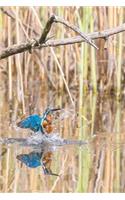 Kingfisher Notebook