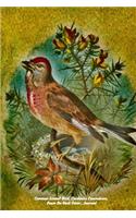 Common Linnet Bird, Carduelis Cannabina, Poem On Back Cover, Journal: Small Passerine, Bird Of The Finch Family, Fringillidae, Linaria, "6x9" 110 Pages, Jotting Down, Notebook