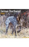 German Shorthaired Pointer Calendar 2018