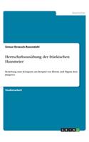 Herrschaftsausübung der fränkischen Hausmeier: Beziehung zum Königtum am Beispiel von Ebroin und Pippin dem Jüngeren