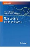 Non Coding Rnas in Plants