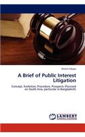 Brief of Public Interest Litigation