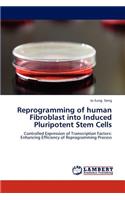 Reprogramming of Human Fibroblast Into Induced Pluripotent Stem Cells