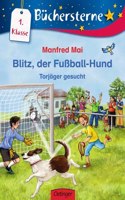 Blitz, der Fussballhund. Torjager gesucht