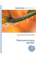 Tabernaemontana Gamblei