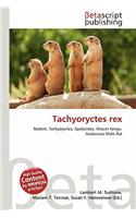 Tachyoryctes Rex