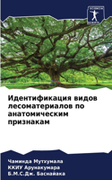 &#1048;&#1076;&#1077;&#1085;&#1090;&#1080;&#1092;&#1080;&#1082;&#1072;&#1094;&#1080;&#1103; &#1074;&#1080;&#1076;&#1086;&#1074; &#1083;&#1077;&#1089;&#1086;&#1084;&#1072;&#1090;&#1077;&#1088;&#1080;&#1072;&#1083;&#1086;&#1074; &#1087;&#1086; &#1072