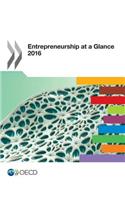 Entrepreneurship at a glance 2016