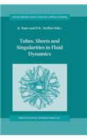 Tubes, Sheets and Singularities in Fluid Dynamics