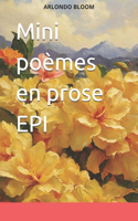 Mini poèmes en prose EPI
