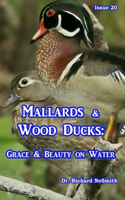 Mallards & Wood Ducks