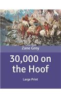 30,000 on the Hoof: Large Print