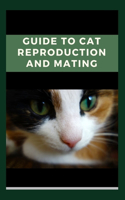 Guide To Cat Reproduction And Mating