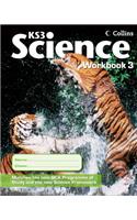 Workbook 3