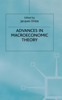 Advances in Macroeconomic Theory