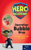 Leveled Reader Set 11 Bookroom Pack Level O: Operation Bubble Wrap