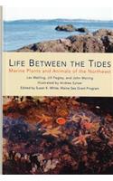 Life Between the Tides